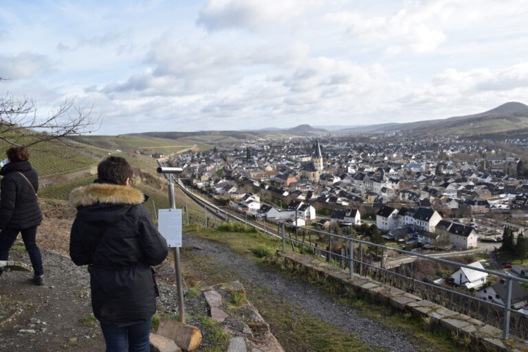 Rode Wijnwandeling in Bad Neuenahr-Ahrweiler